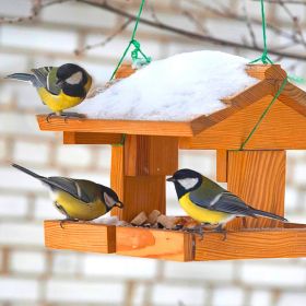 Így etess madarakat télen a kertedben 